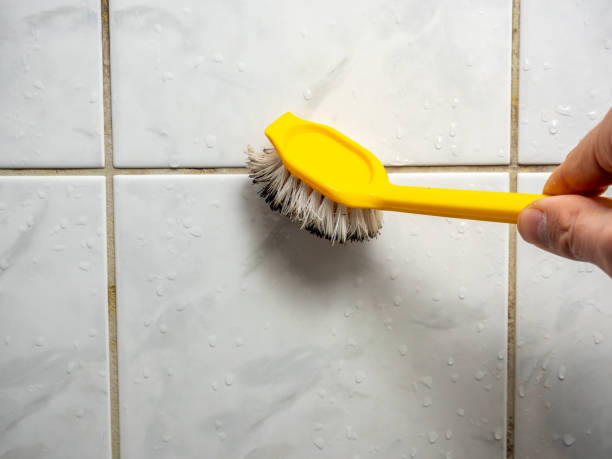 Best Mold Remediation Experts  in Highgrove, CA