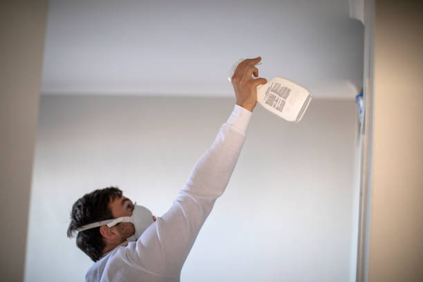 Best Mold Removal Company Near Me  in Highgrove, CA