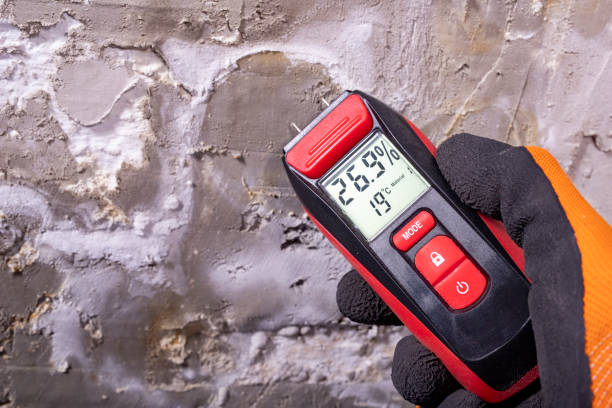 Best Home Mold Removal  in Highgrove, CA