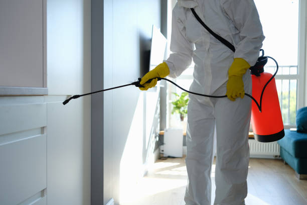 Best Mold Testing  in Highgrove, CA