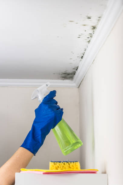 Best Office Mold Removal Services  in Highgrove, CA